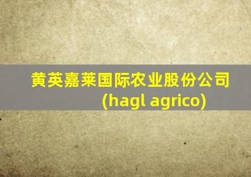 黄英嘉莱国际农业股份公司(hagl agrico)